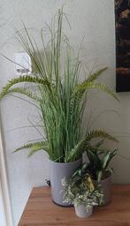 Decoratie potten met inhoud, Ophalen, Cactus, Minder dan 100 cm