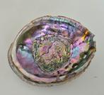 Zeer mooie Abalone schelp 15 cm, Ophalen of Verzenden, Schelp(en)