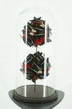 Opgezette Vlinderstolp met Tropische Vlinders - Wildernis At, Ophalen of Verzenden, Nieuw, Opgezet dier