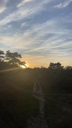 Gezocht: Stalling, Eén persoon