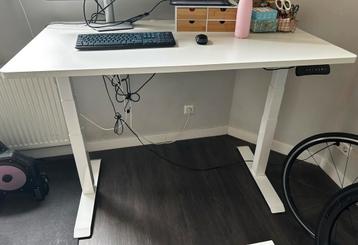 Elektrisch zit sta bureau 140 x 80 / electric standing desk