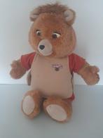 Teddy  Ruxpin knuffel beer pop met originele cassette, Ophalen of Verzenden, Gebruikt, Stoffen beer, Overige merken