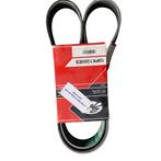 VOLVO FM POLY-V-RIEM | 20411420, -, -, Nieuw, Ophalen of Verzenden