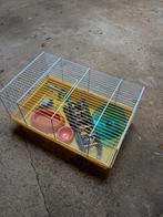 Hamster/muizen kooi met toebehoren (starterset), Dieren en Toebehoren, Kooi, Minder dan 75 cm, Hamster, Ophalen