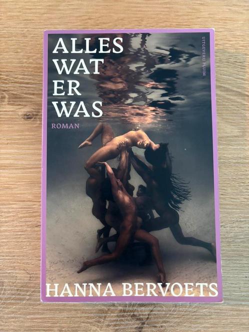 Hanna Bervoets - Alles wat er was, Boeken, Literatuur, Zo goed als nieuw, Nederland, Ophalen of Verzenden