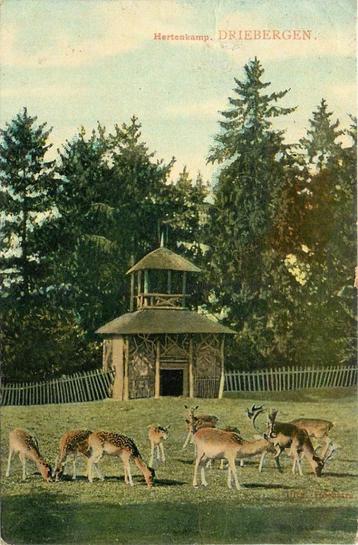 (381-094-017) Driebergen Hertenkamp beschikbaar voor biedingen