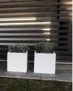 plantenbakken sale, Tuin en Terras, Bloembakken en Plantenbakken, Kunststof, Minder dan 30 cm, Info@Monofun.nl, Rond