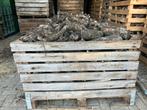 Perenhout, 2 jaar gedroogd., Tuin en Terras, Haardhout, 3 tot 6 m³, Ophalen, Overige houtsoorten, Blokken