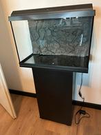 Juwel Primo 70, Ophalen, Zo goed als nieuw, Leeg aquarium