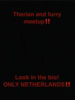 Therian + Furry meet! !NETHERLANDS!, Ophalen of Verzenden, Zo goed als nieuw