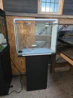 Superfish 80 liter aquarium, Dieren en Toebehoren, Ophalen, Zo goed als nieuw, Leeg aquarium