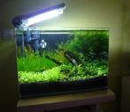 2x 21l cocoon aquarium met dekruit zonder techniek, Ophalen of Verzenden, Zo goed als nieuw, Leeg aquarium