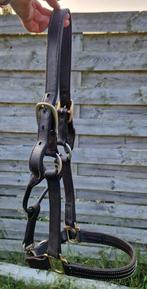 Halster leer full bruin, Dieren en Toebehoren, Paarden en Pony's | Hoofdstellen en Tuigage, Ophalen of Verzenden, Gebruikt, Overige soorten