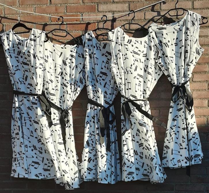 Carnavalskleding, Kleding | Dames, Carnavalskleding en Feestkleding, Gedragen, Kleding, Carnaval, Maat 42/44 (L), Ophalen