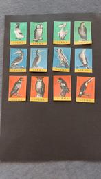 Lucifermerken België, Sarma vogels 12 stuks, Verzenden, Gebruikt, Luciferdoosjes of -merken