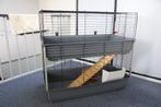 cavia (dwerg)konijnen kooi, Dieren en Toebehoren, Ophalen, Kooi, 60 tot 90 cm, Cavia