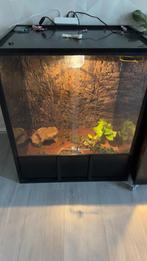 Pvc terrarium 80x60x95, Dieren en Toebehoren, Ophalen, Zo goed als nieuw, Terrarium of Paludarium