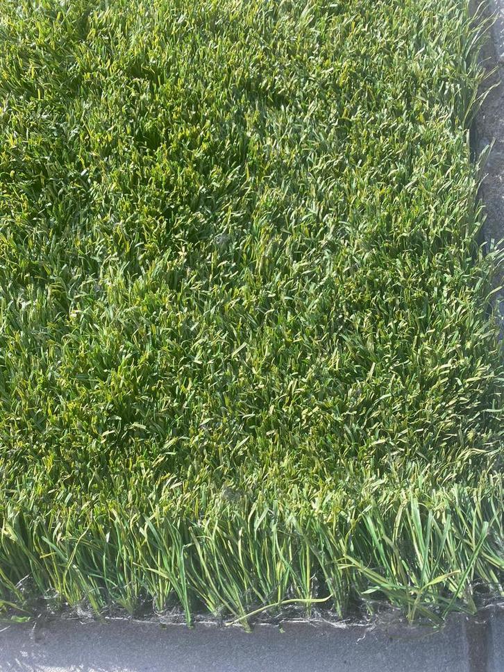 24m2 Kunstgras. Nog als nieuw! (4m x 6m) €192,-, Tuin en Terras, Gras en Kunstgras, Zo goed als nieuw, Kunstgras, 20 m² of meer