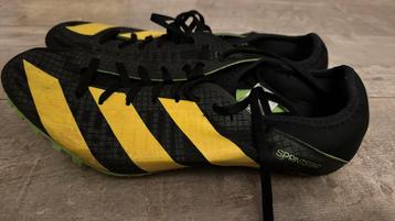 Adidas sprintstar spikes sprint maat 44 beschikbaar voor biedingen