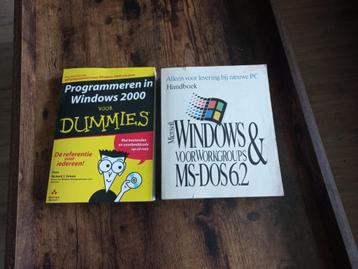 Handboek Windows,MS-DOS 6.2/Prog in windows 2000 v Dummies. beschikbaar voor biedingen