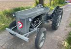 massey ferguson tef trekker / traktor / tractor, Niet ingevuld, Niet ingevuld, Niet ingevuld