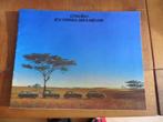 Folder Citroen 2CV, Citroen Dyane, Citroen Ami8, Mehari 1977, Boeken, Ophalen of Verzenden, Zo goed als nieuw, Citroën, Citroën