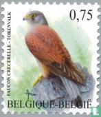 [ 2007 ]Torenvalk OBP nr 3609, Ophalen of Verzenden, Postfris, Postfris