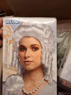 Lakei en hofdames markiezin  barok, Ophalen of Verzenden, Zo goed als nieuw, Carnaval