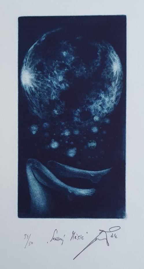 Exlibris / Ex libris Jan Cernos, sneeuwmaan, Antiek en Kunst, Kunst | Etsen en Gravures, Verzenden