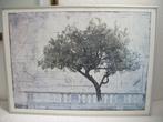 Lemon Tree - David Smith-Harrison in lijst 76,5 x 56 - zgan, Huis en Inrichting, Ophalen, Zo goed als nieuw, Schilderij, 75 cm of meer