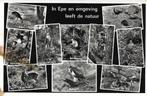 Ansichtkaart	Epe	Natuur	10-luik, Verzamelen, Ansichtkaarten | Nederland, Verzenden, 1960 tot 1980, Gelopen, Gelderland