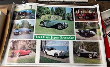 Poster Jaguar beschikbaar voor biedingen