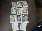 Panini Voetbal 1996 Sc Heerenveen, Ophalen of Verzenden, Zo goed als nieuw, Overige binnenlandse clubs, Poster, Plaatje of Sticker