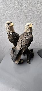 Arend, Ophalen of Verzenden, Zo goed als nieuw, Mens