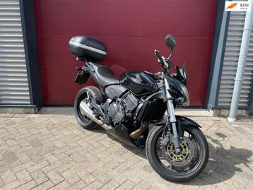 Honda CB 600 F CB600F Hornet beschikbaar voor biedingen