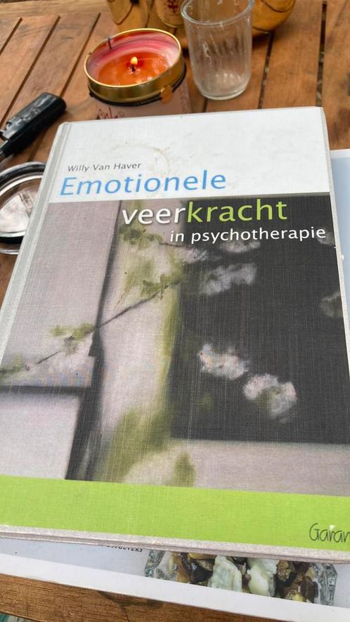 Willy Van Haver - Emotionele veerkracht in psychotherapie, Boeken, Psychologie, Gelezen, Ophalen of Verzenden