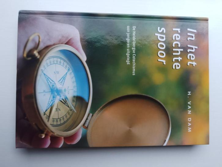 In het rechte spoor - H. van Dam, Boeken, Godsdienst en Theologie, Zo goed als nieuw, Christendom | Protestants, Ophalen of Verzenden