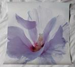 Poster met paars/roze hibiscus, Ophalen of Verzenden