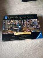 Ravensburger Puzzel 1000 stukjes - Zebeedee Hot Springs, Hobby en Vrije tijd, Denksport en Puzzels, Ophalen of Verzenden, 500 t/m 1500 stukjes