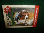 NIEUW Castorland puzzel Hondje zwart/wit met bruin 80stukjes, Ophalen of Verzenden, Meer dan 50 stukjes, Nieuw, 6 jaar of ouder