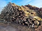 Boomstammen brandhout, es, eik, beuk, iep, esdoorn, els, Tuin en Terras, Haardhout, Stammen, Essenhout, 6 m³ of meer, Verzenden