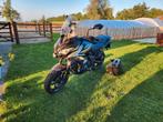 Kawasaki Versys 650 ABS 2019– klaar voor avontuur, Motoren, Ophalen, Gebruikt