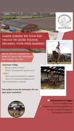 Voltige, Dieren en Toebehoren, Ophalen of Verzenden