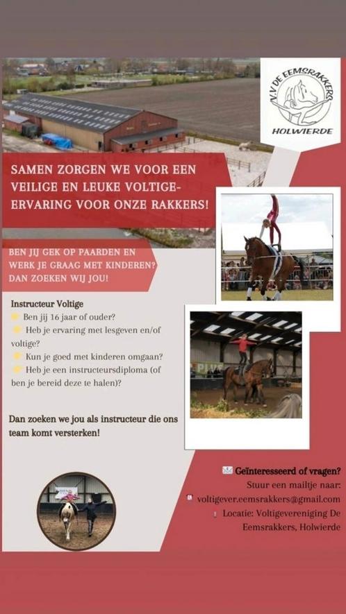 Voltige, Dieren en Toebehoren, Paarden en Pony's | Overige Paardenspullen, Ophalen of Verzenden