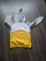 Hoodie maat 146 / 152, Trui of Vest, Ophalen of Verzenden, Zo goed als nieuw, Shoeby