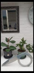 Kettingkasten, Fietsen en Brommers, Fietsonderdelen, Ophalen of Verzenden