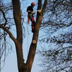 Stormschade of een boom kappen/ verwijderen?, Diensten en Vakmensen, Tuinmannen en Stratenmakers, Tuinonderhoud of Snoeiwerk
