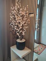 Bloesemboom beige/licht taupe kleur, Ophalen, Nieuw, Binnen