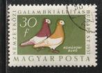 Hongarije 1957 - Komaron Tumbler Duiven, Ophalen of Verzenden, Gestempeld