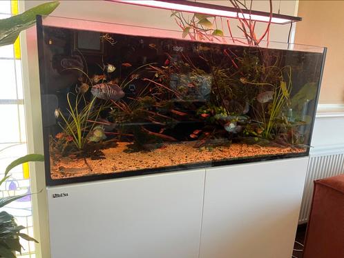Red sea reefer, Dieren en Toebehoren, Vissen | Aquaria en Toebehoren, Gebruikt, Gevuld zoetwateraquarium, Ophalen